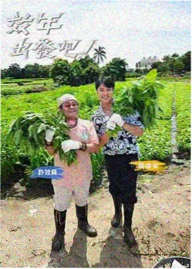 大地影院资讯